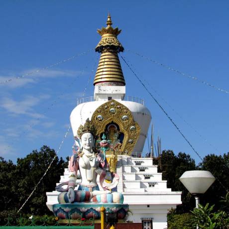 Buddha temple in Dehradun.