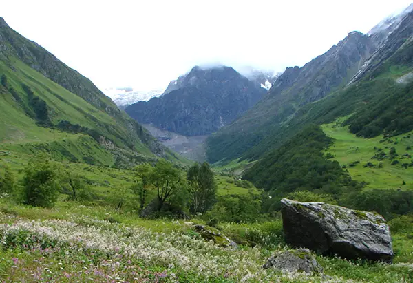 Valley of Flowers