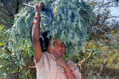 Women in Uttaranchal Villages