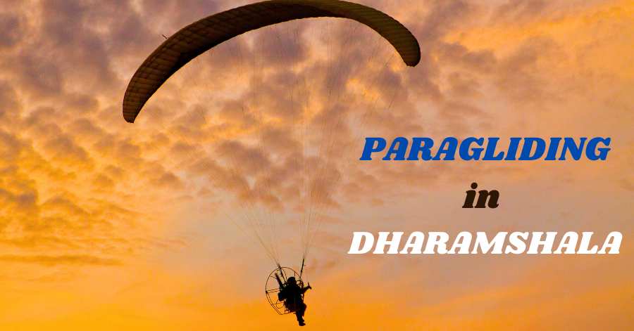 Paragliding in Dharamshala